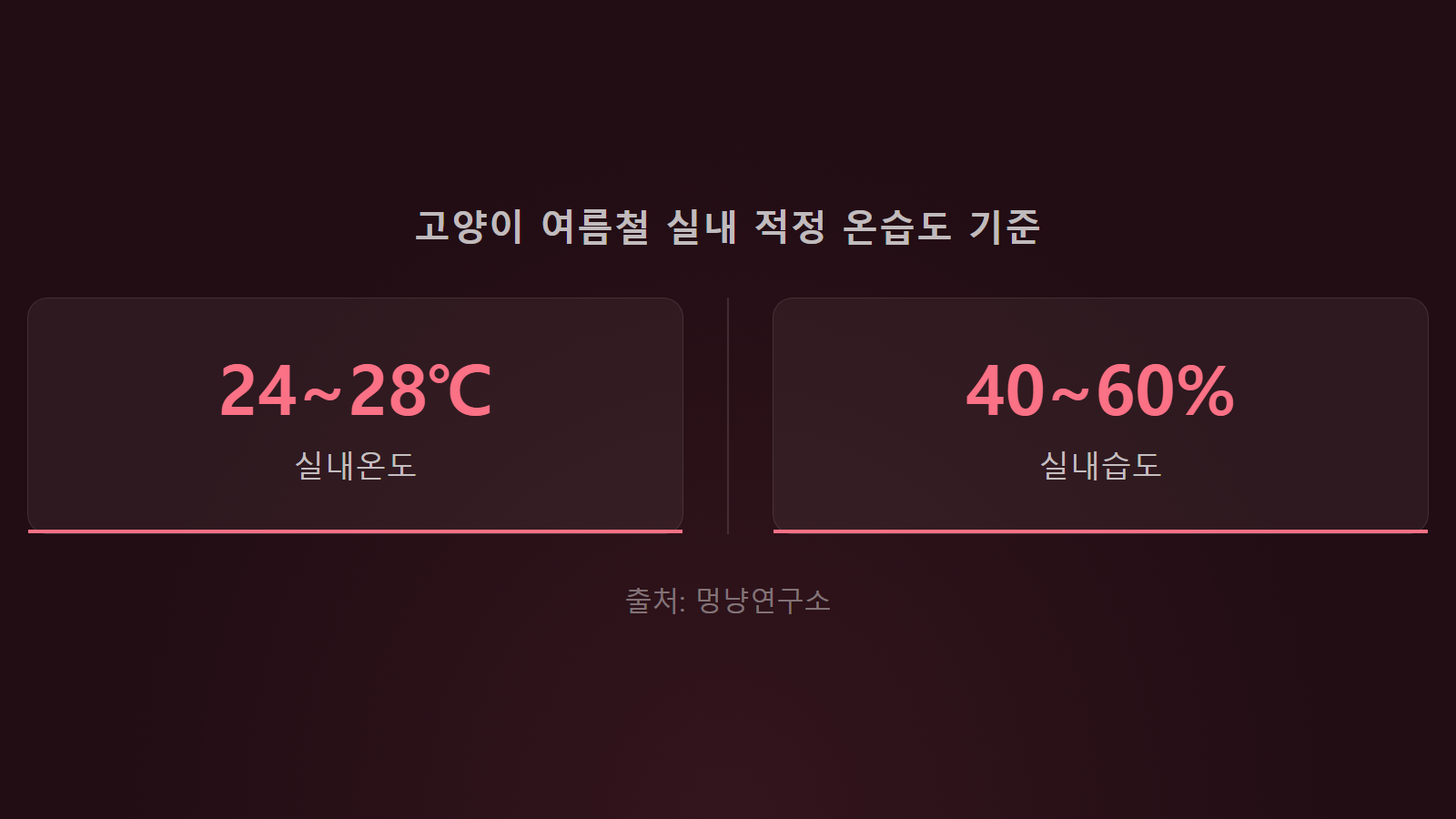 고양이 여름 더위 집안 환경 실내 적정 온습도 통계 이미지