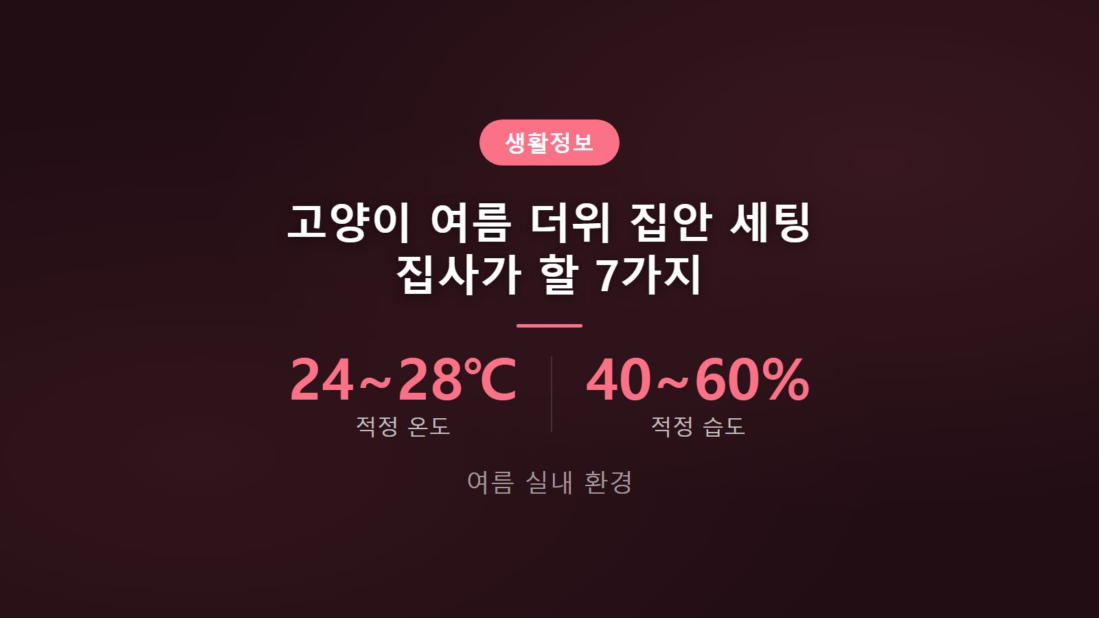 고양이 여름 더위 집안 환경 7가지 세팅법 이미지