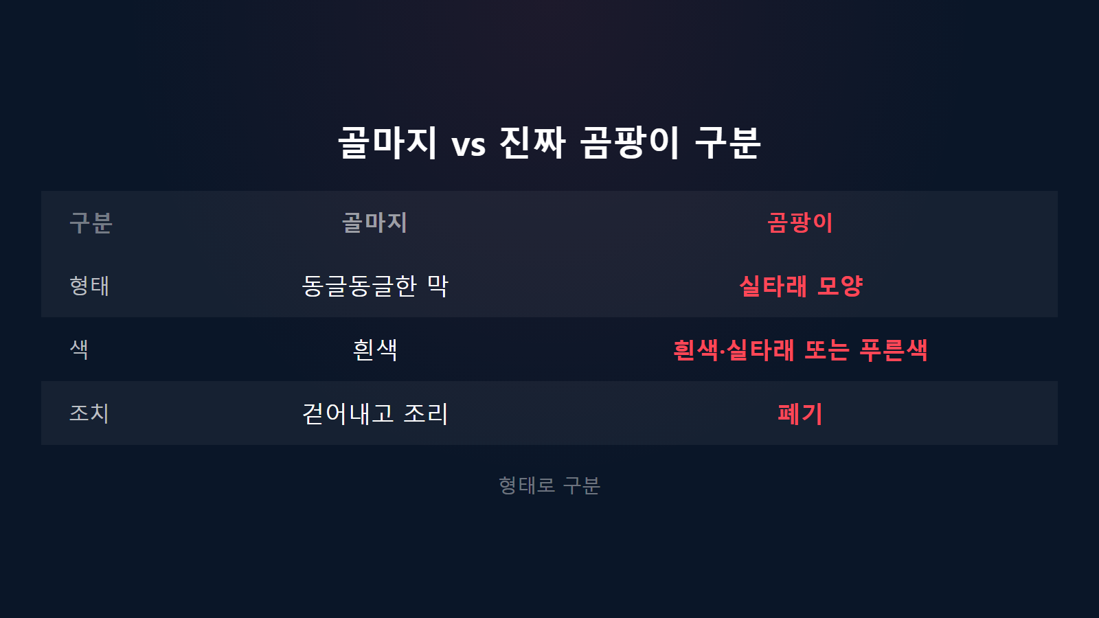 김치 군내 골마지와 진짜 곰팡이 형태 구분 비교 이미지