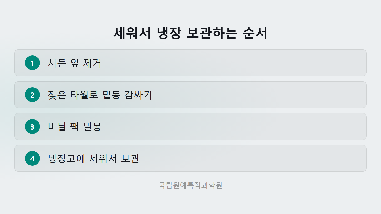 미나리 시들지 않게 보관하는 법 냉장 보관 순서 체크리스트 이미지