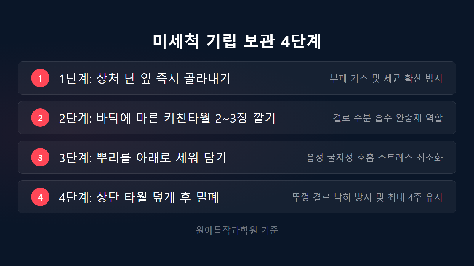 상추 물러지지 않게 두는 법 4단계 기립 보관 체크리스트 이미지