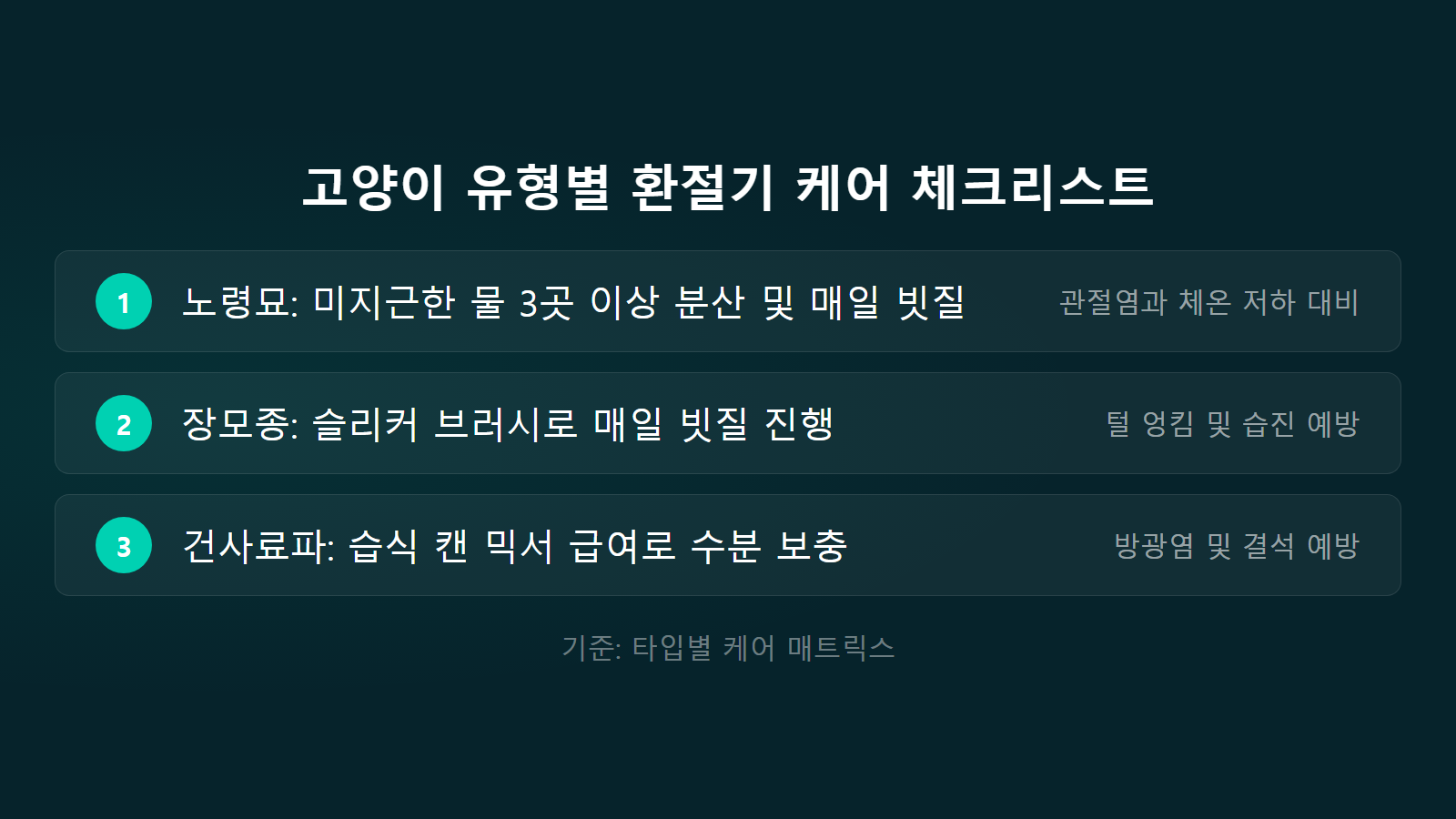 고양이 환절기 건강 관리 노령묘 장모종 케어 체크리스트 이미지