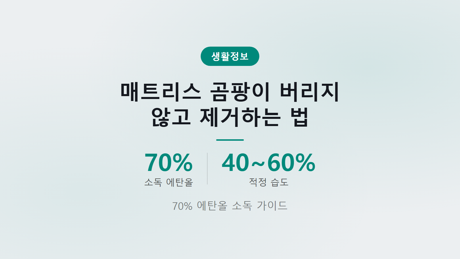 매트리스 곰팡이 제거법 70 에탄올 소독 및 소재별 건조 가이드 이미지