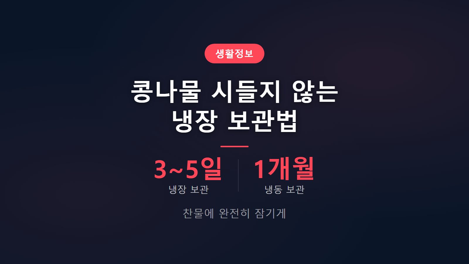 콩나물 안 시드는 보관법 매일 물 교체 냉장 보관 이미지