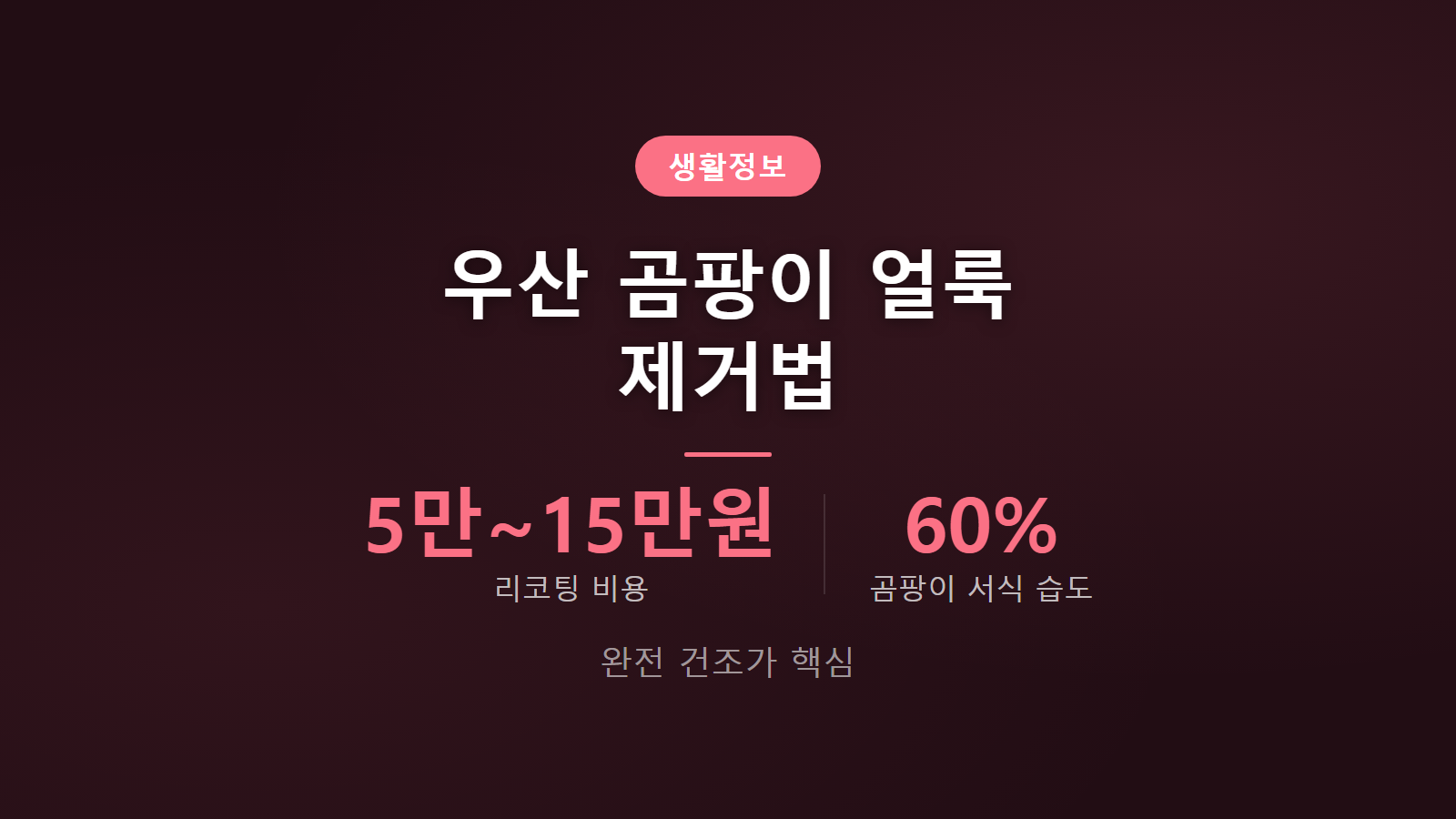 우산 곰팡이 얼룩 제거법 습도 60퍼센트 보관 주의 이미지