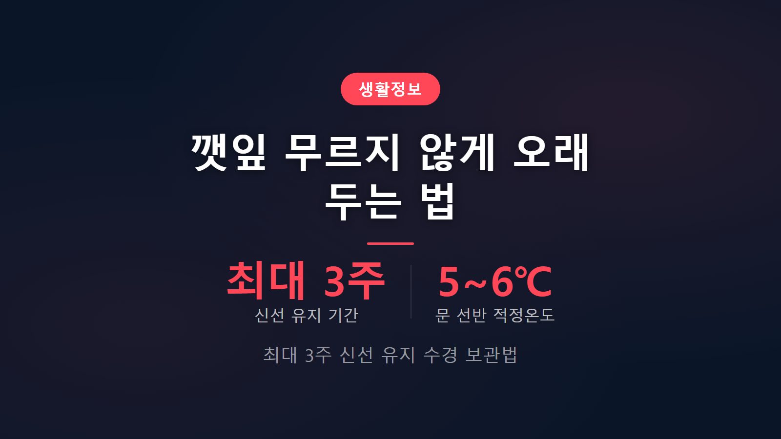 깻잎 무르지 않는 보관법 3주 신선 유지 잎자루 수경 보관 이미지