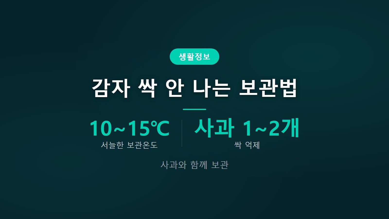 감자 싹 안 나는 보관법 신문지 포장 사과 서늘한 곳 보관 이미지
