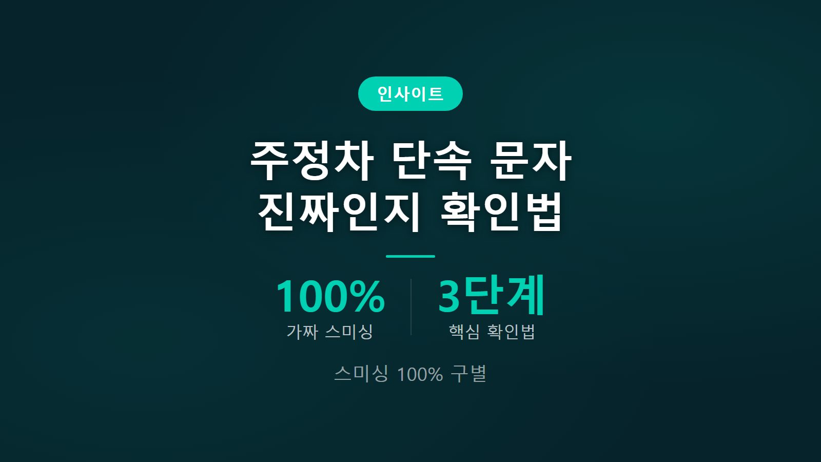 주정차 단속 문자 진짜인지 확인법 3단계 100퍼센트 스미싱 구별 썸네일 이미지