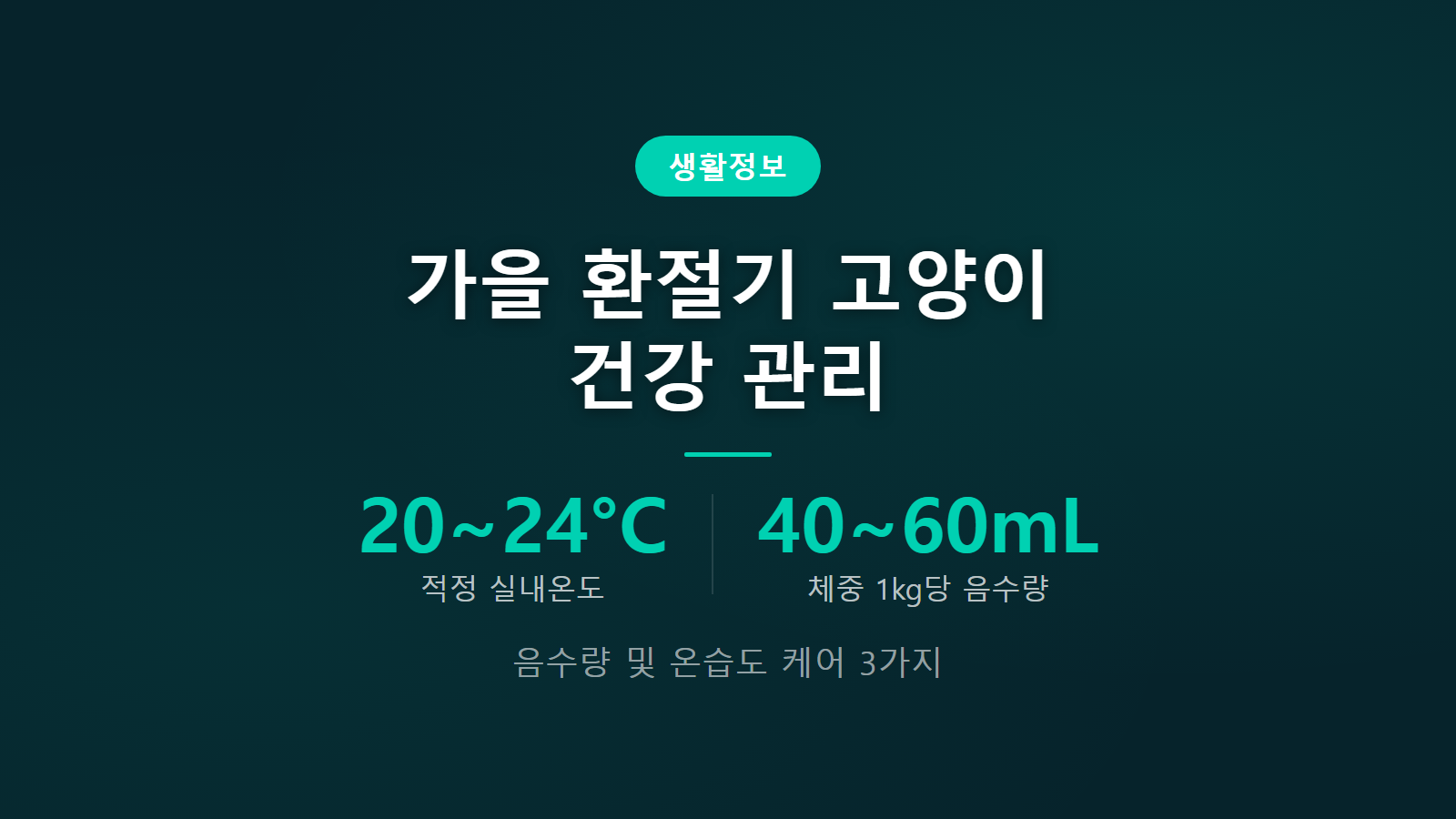 고양이 환절기 건강 관리 온도 20도 음수량 160ml 케어 수칙 이미지