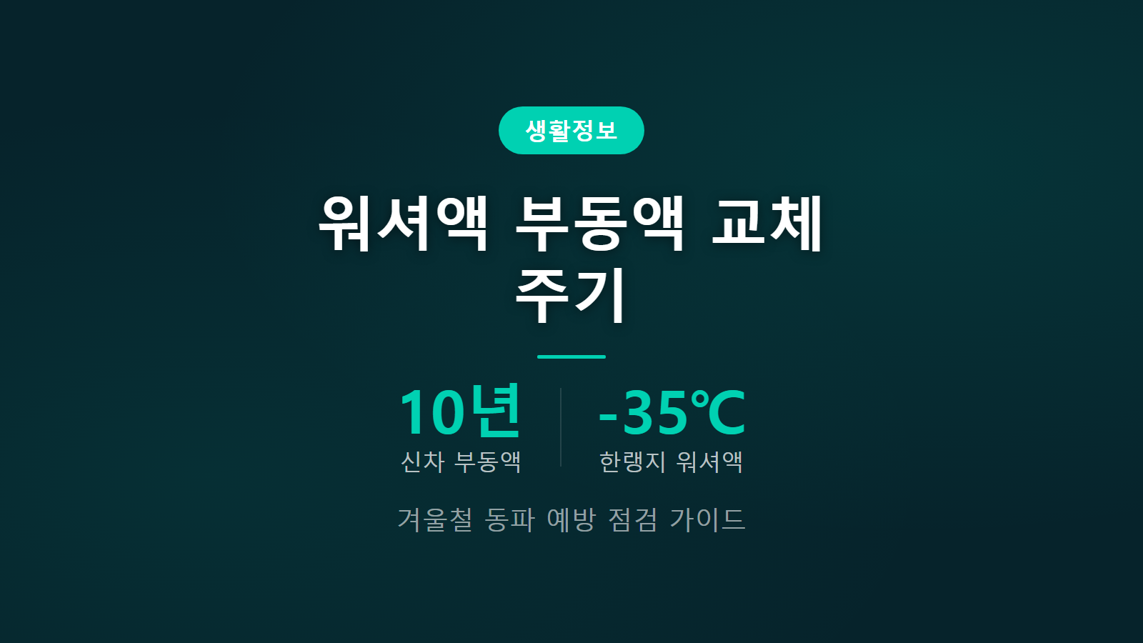 자동차 워셔액 부동액 교체 시기 10년 20만km 점검 주기 썸네일 이미지