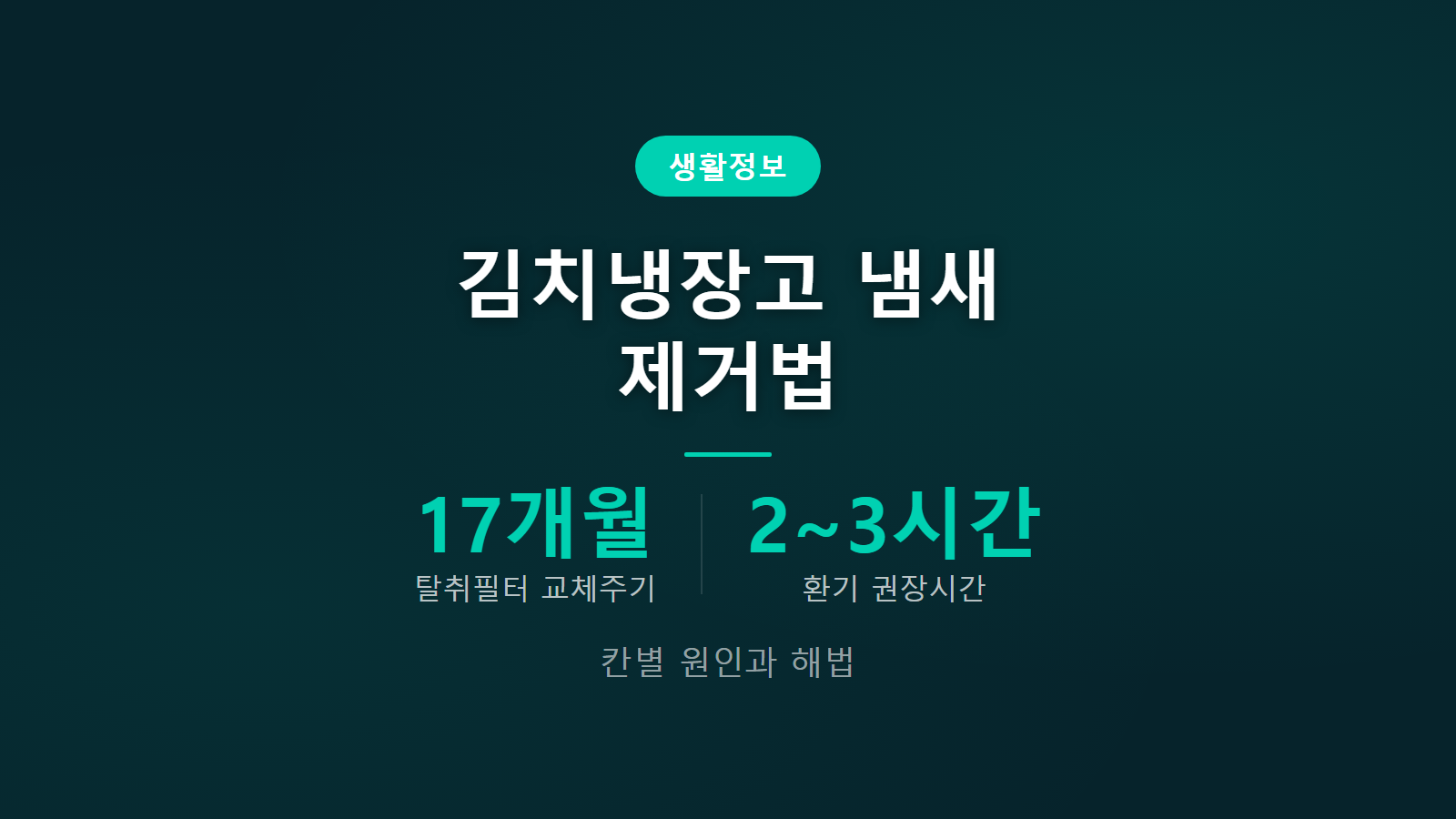 김치냉장고 냄새 나는 이유 배수구 패킹 곰팡이 제거법 이미지