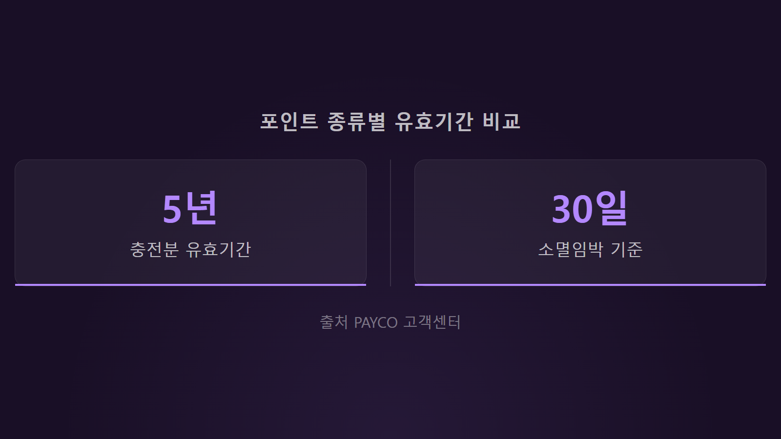 페이코 포인트 충전 5년 적립 별도 확인 통계 이미지