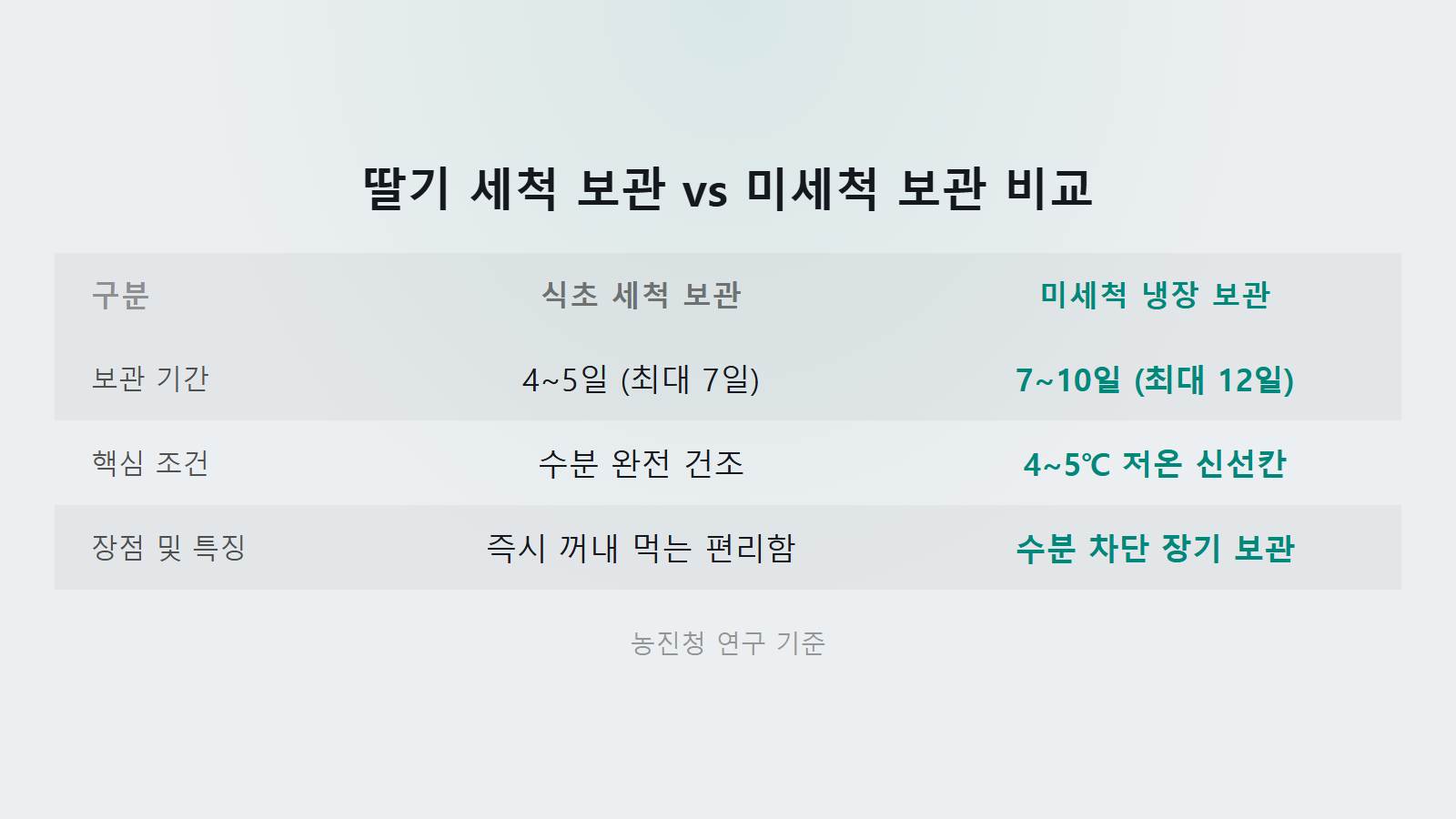 딸기 씻어서 오래 보관하는 법 식초세척 5일 vs 미세척 10일 보관 비교표 이미지