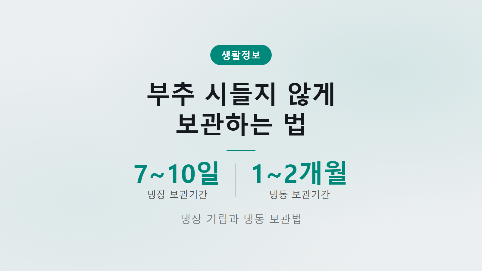 부추 보관법 10일 동안 싱싱하게 유지하는 냉장 기립 보관법 안내 이미지
