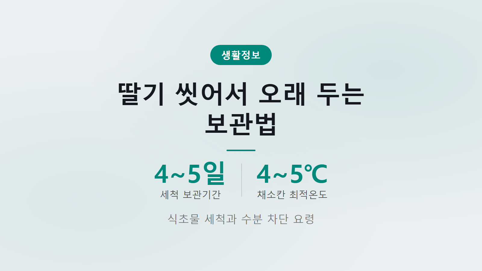 딸기 씻어서 오래 보관하는 법 4단계 세척과 5일 신선 보관 요약 이미지
