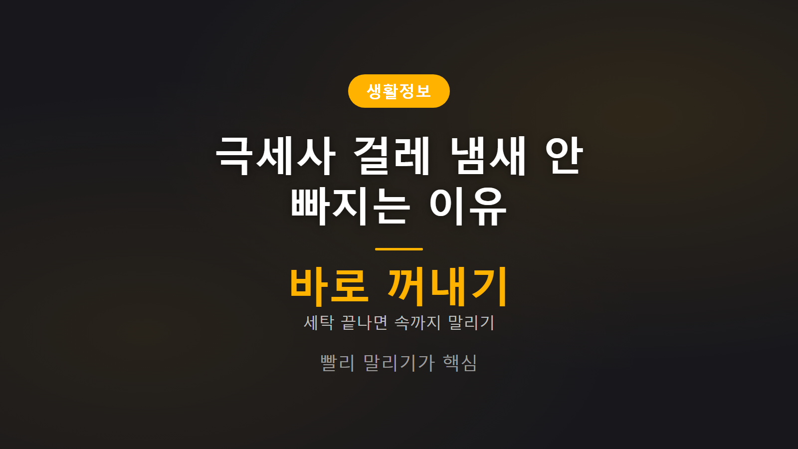 극세사 걸레 냄새 안 빠지는 이유 썸네일 이미지