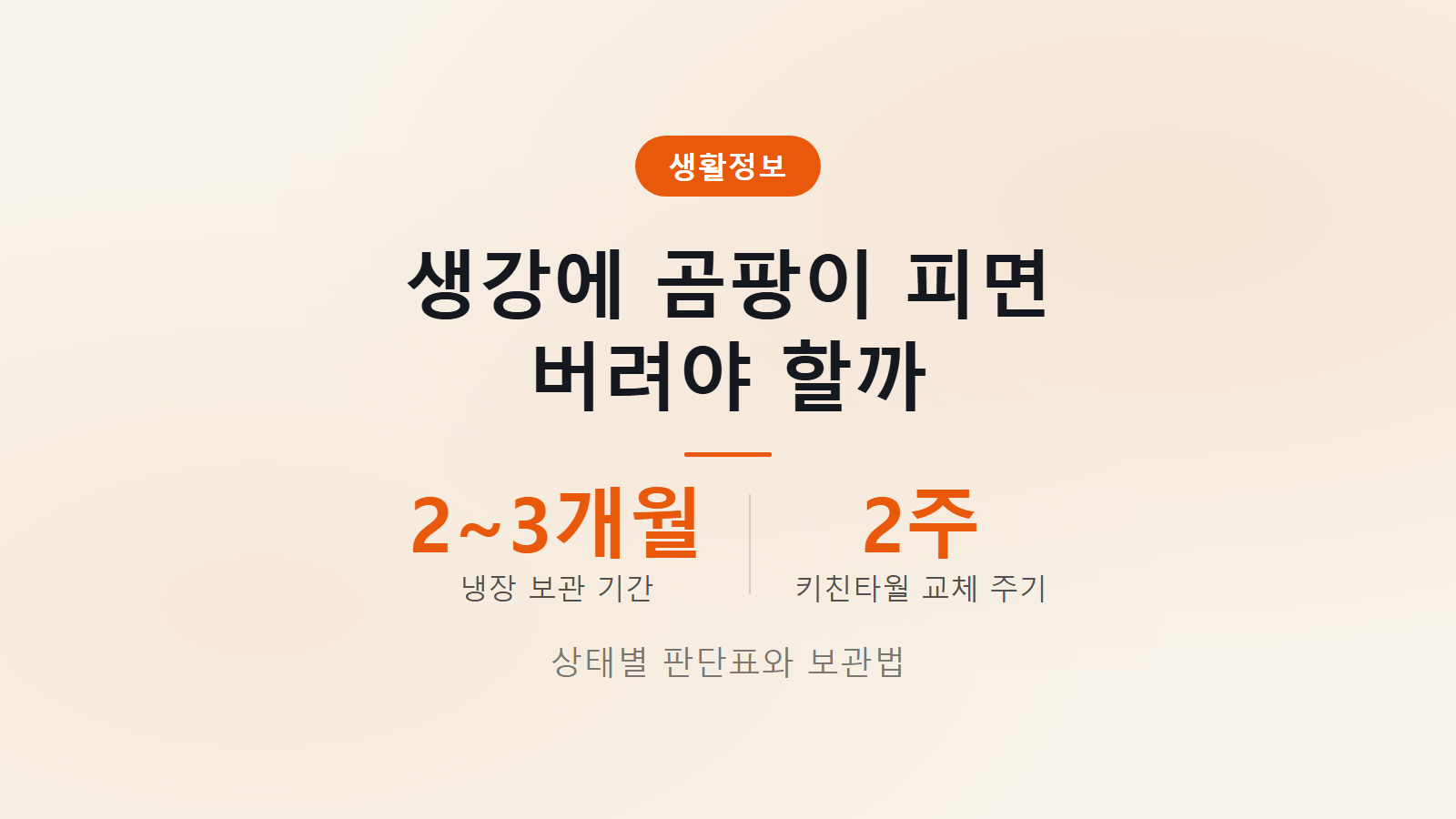 생강 곰팡이 물렁하면 바로 버림 2주마다 상태 점검 기준 이미지