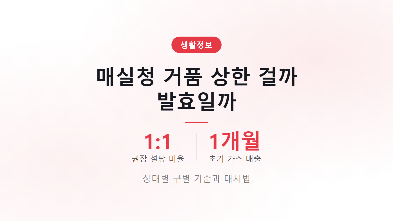매실청 거품 3가지 상태 구분과 정상 발효 판별 기준 이미지