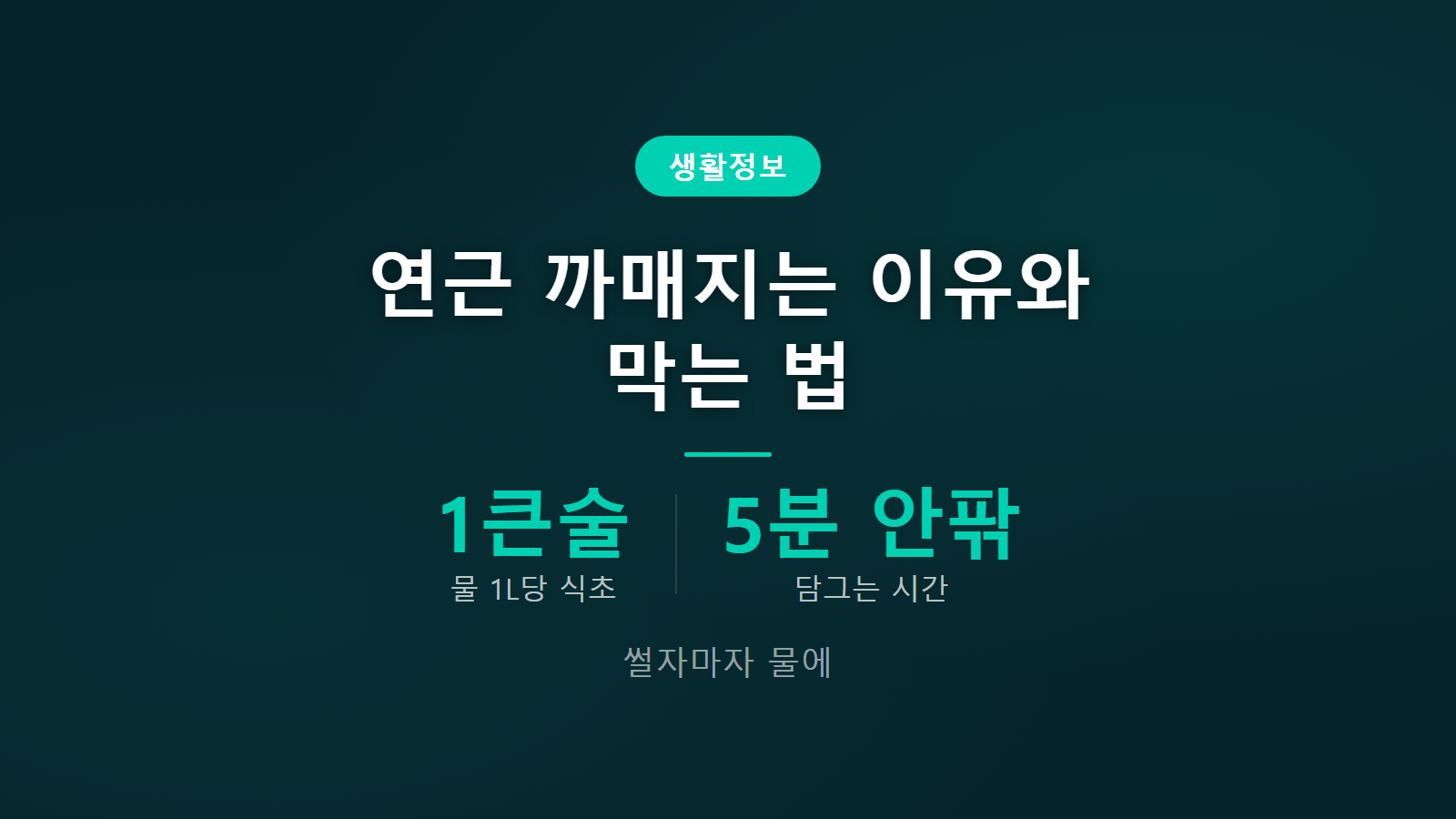 연근 갈변 막는 법 물 1L 식초 1큰술 5분 안팎 손질 순서 이미지