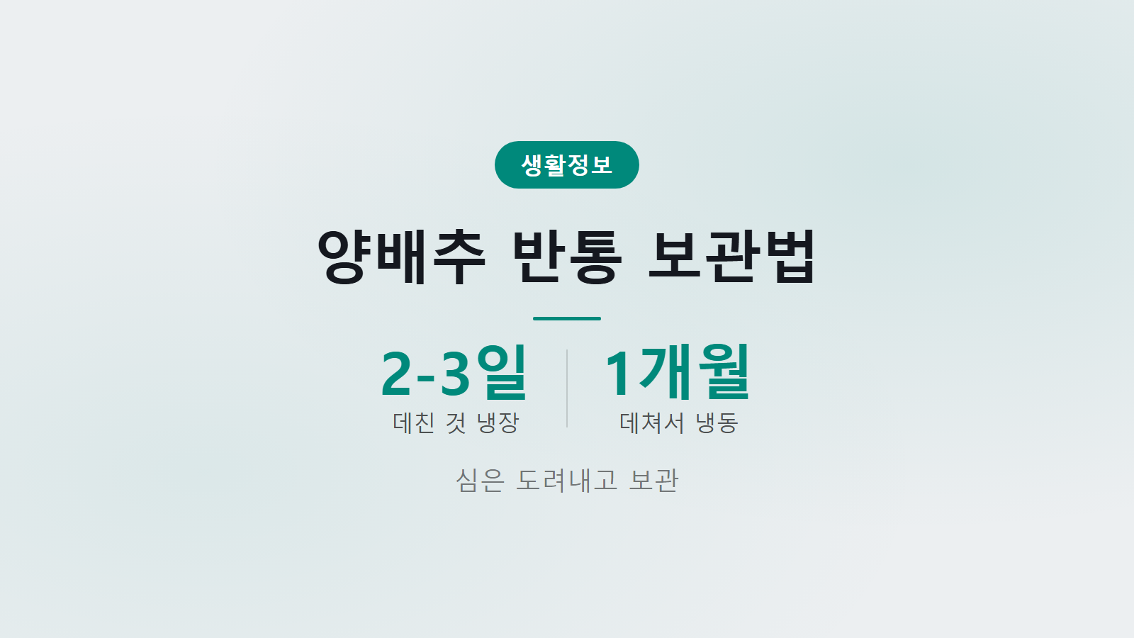 양배추 반통 보관법 단면 아래 냉장 냉동 1개월 보관 이미지