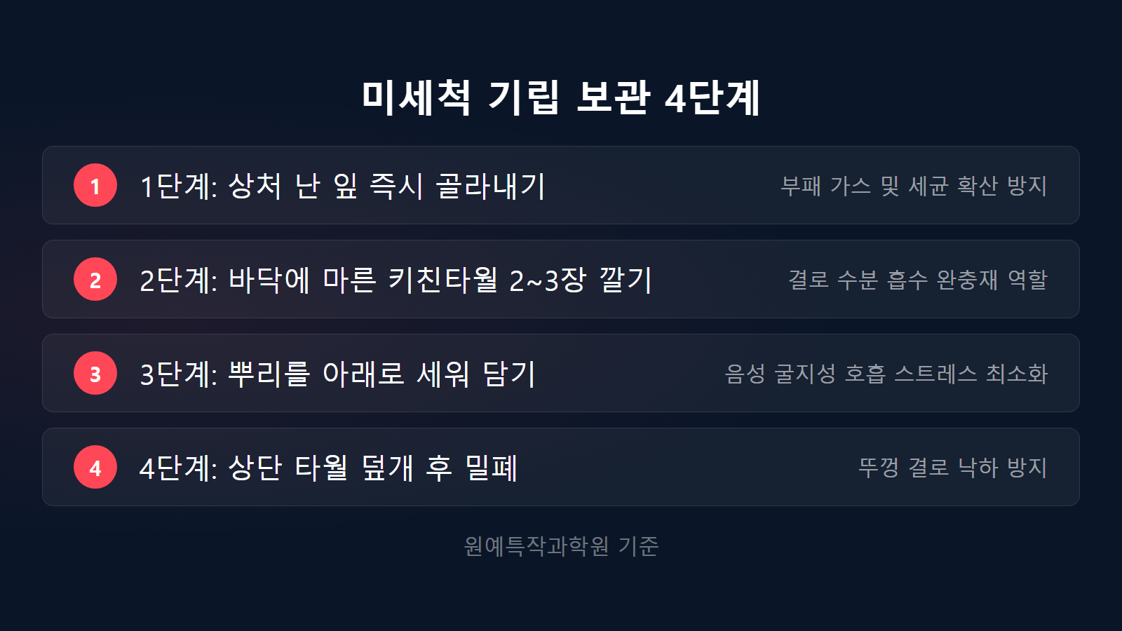 상추 물러지지 않게 두는 법 4단계 기립 보관 체크리스트 이미지