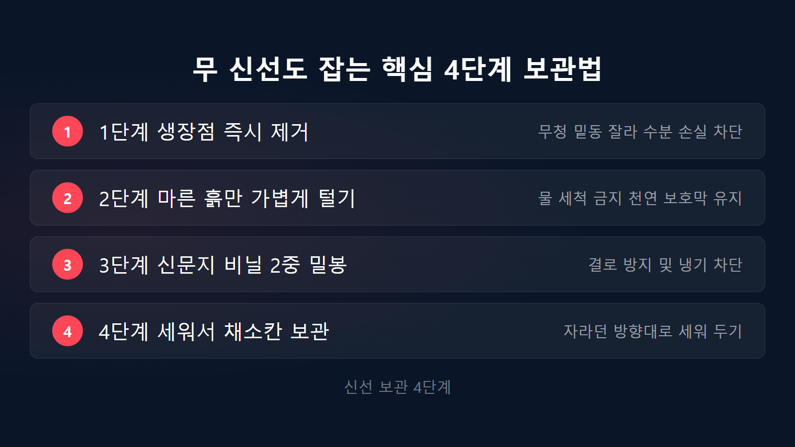 겨울무 보관법 신선도 유지 핵심 4단계 관리 순서 체크리스트 이미지